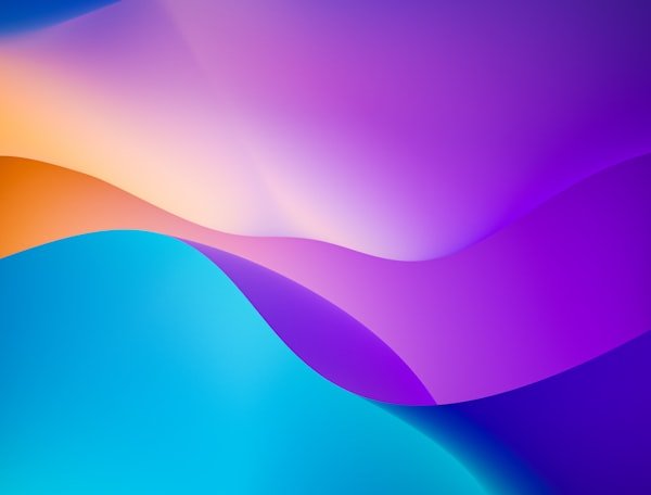 Web & App Development