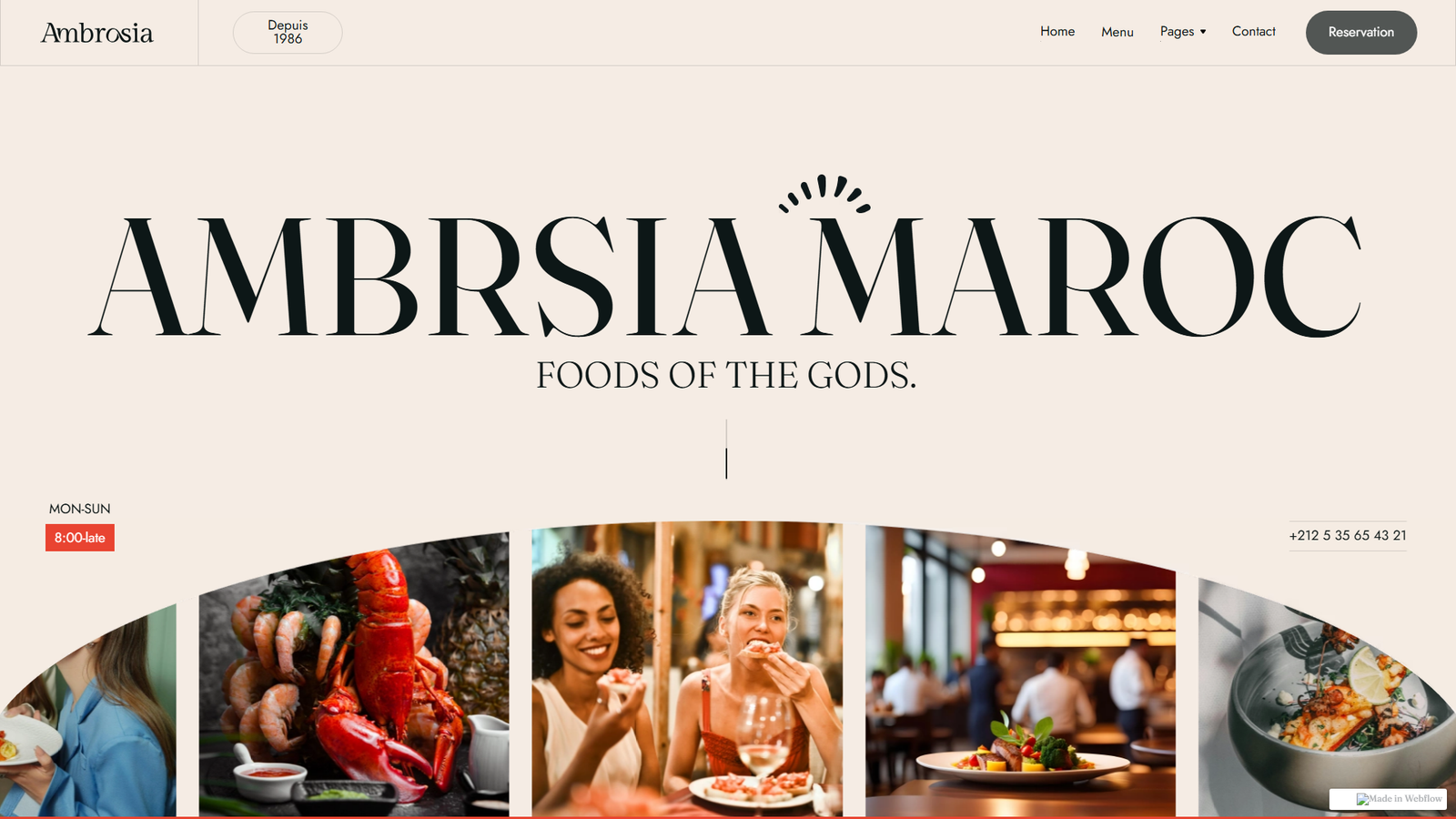 Ambrsia Morocco, Web Development